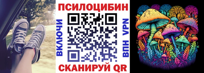 Галлюциногенные грибы Psilocybe Купить закладки Велиж
